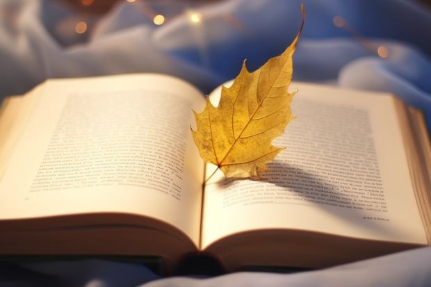 广州商贸职业学校开设专业有哪些