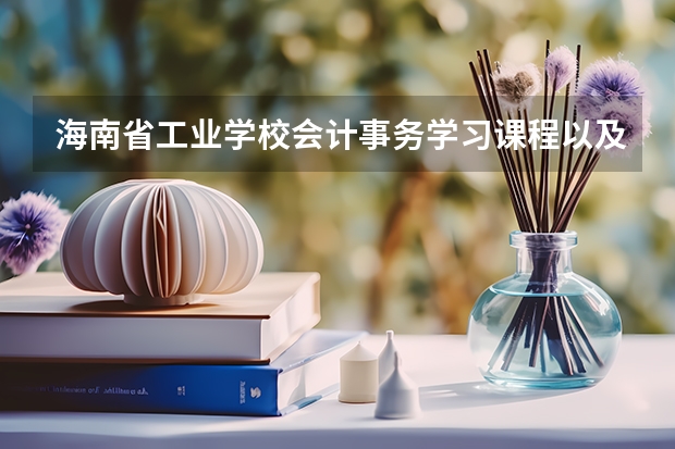 海南省工业学校会计事务学习课程以及专业能力有哪些