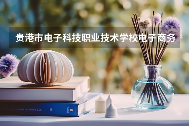 贵港市电子科技职业技术学校电子商务学习课程以及专业能力有哪些